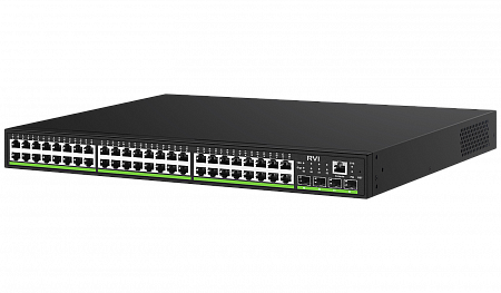 RVi-1NSM48G-4SP  